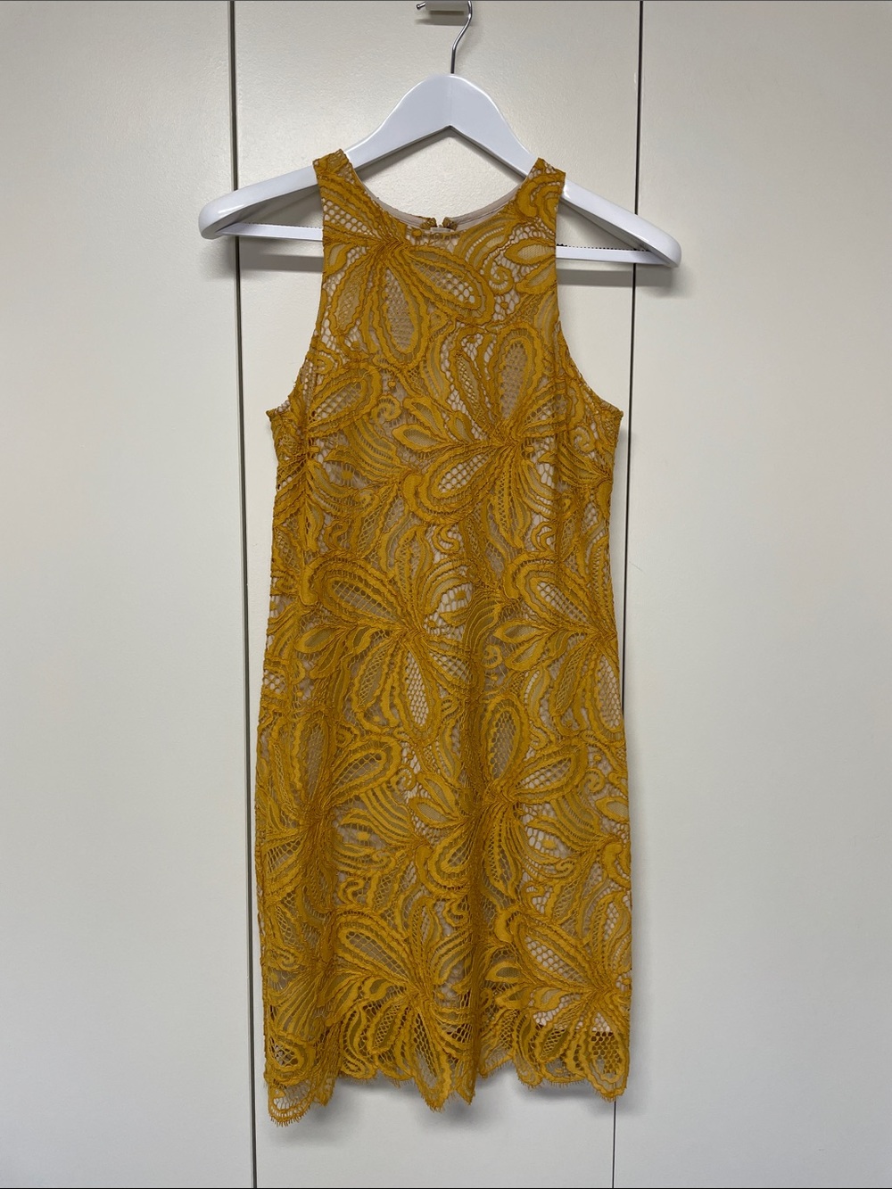 Aritzia Babaton Henry lace cocktail dress